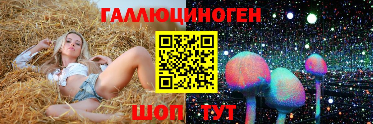 Горячий Ключ  Галлюциногенные грибы GOLDEN TEACHER  Вход с VPN 